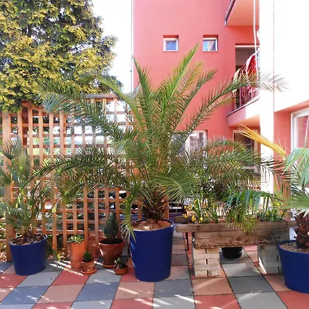 Vilka Podhajcanka Подгайска