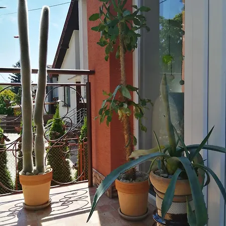 Vilka Podhajcanka Guest house *